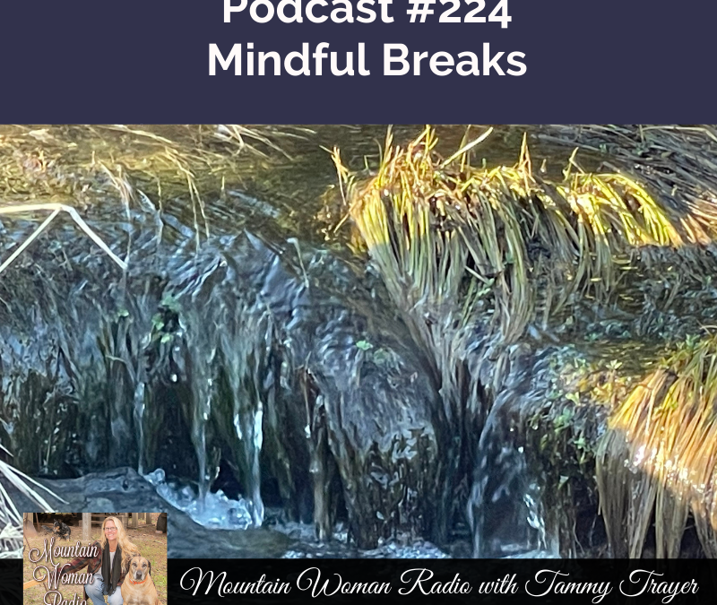 Podcast #224: Why We Should All Be Taking Mindful Breaks