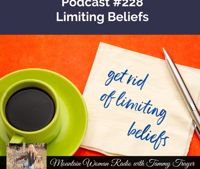 Podcast #228: Limiting Beliefs