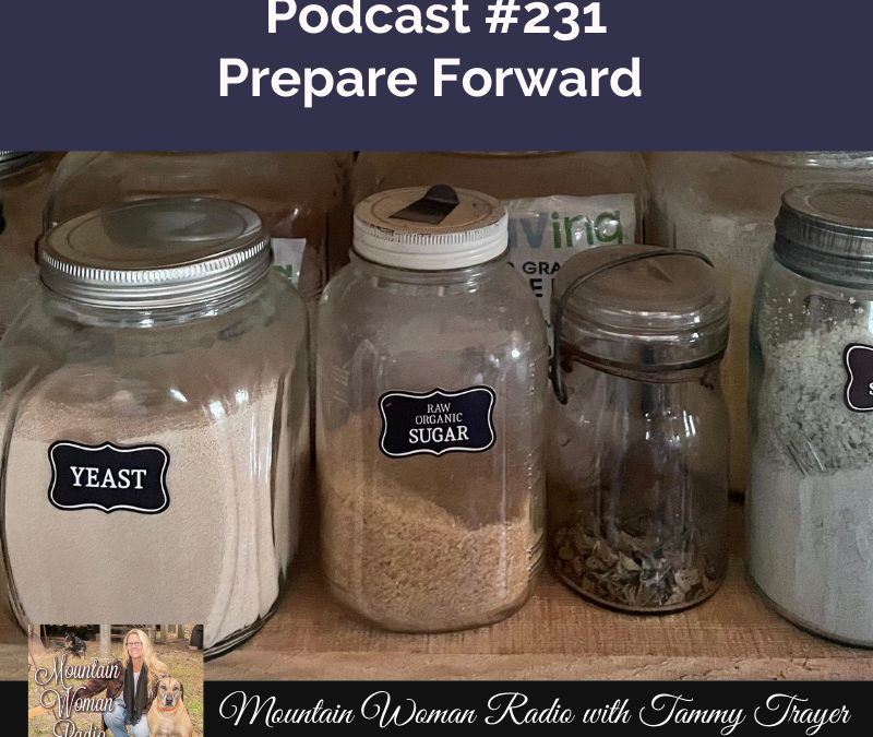 Podcast #231: Prepare Forward