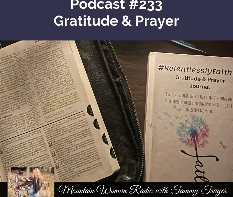 Podcast #233: Gratitude & Prayer